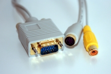 Suggested Image